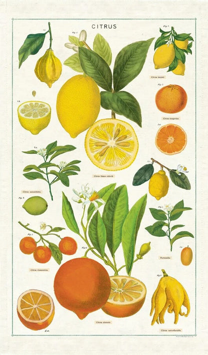 Vintage Tea Towel - Citrus