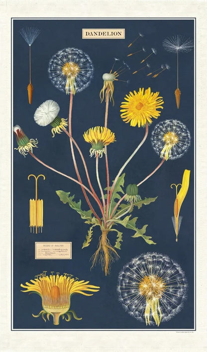 Vintage Tea Towel - Dandelion