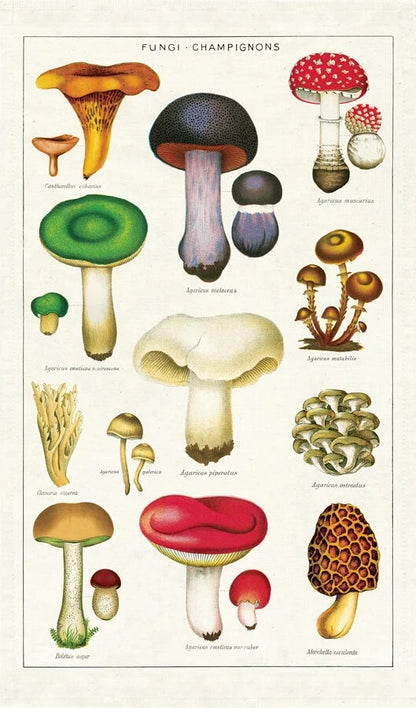 Vintage Tea Towel - Mushrooms