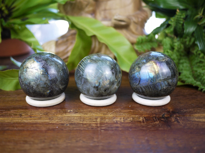 Labradorite Spheres - Shakti