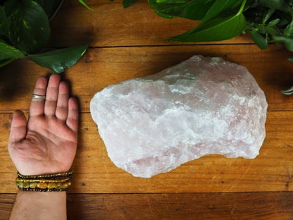 Rose Quartz Rough Chunks - Shakti