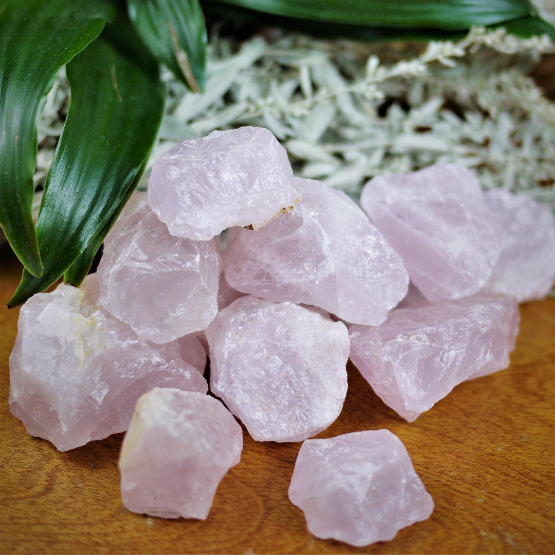 Rose Quartz Rough Chunks - Shakti