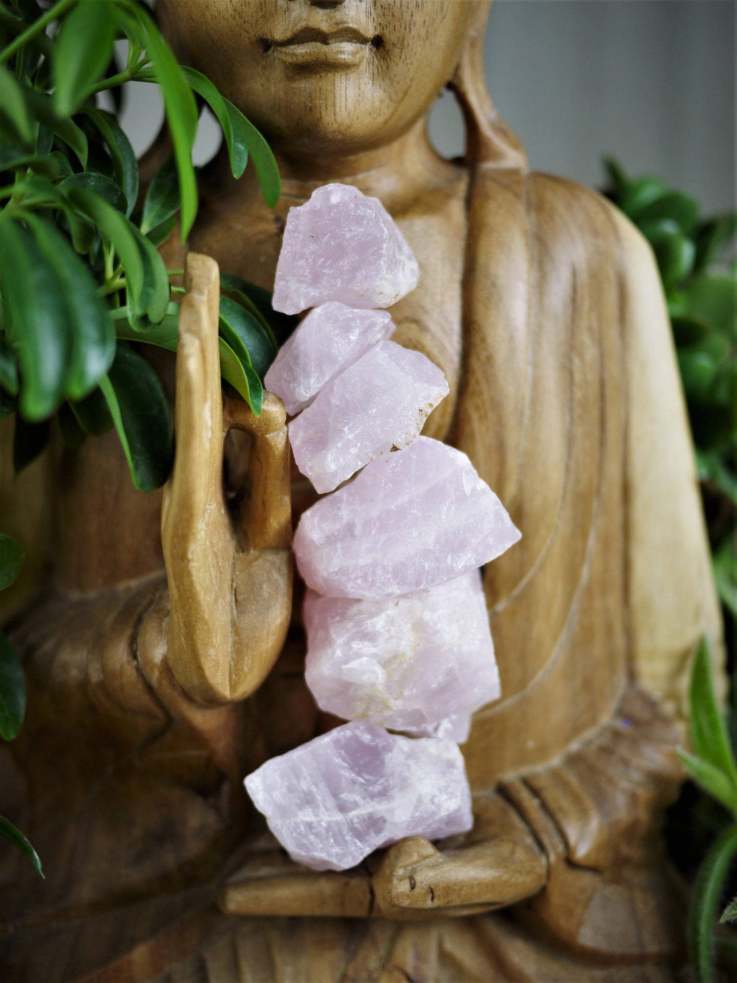 Rose Quartz Rough Chunks - Shakti