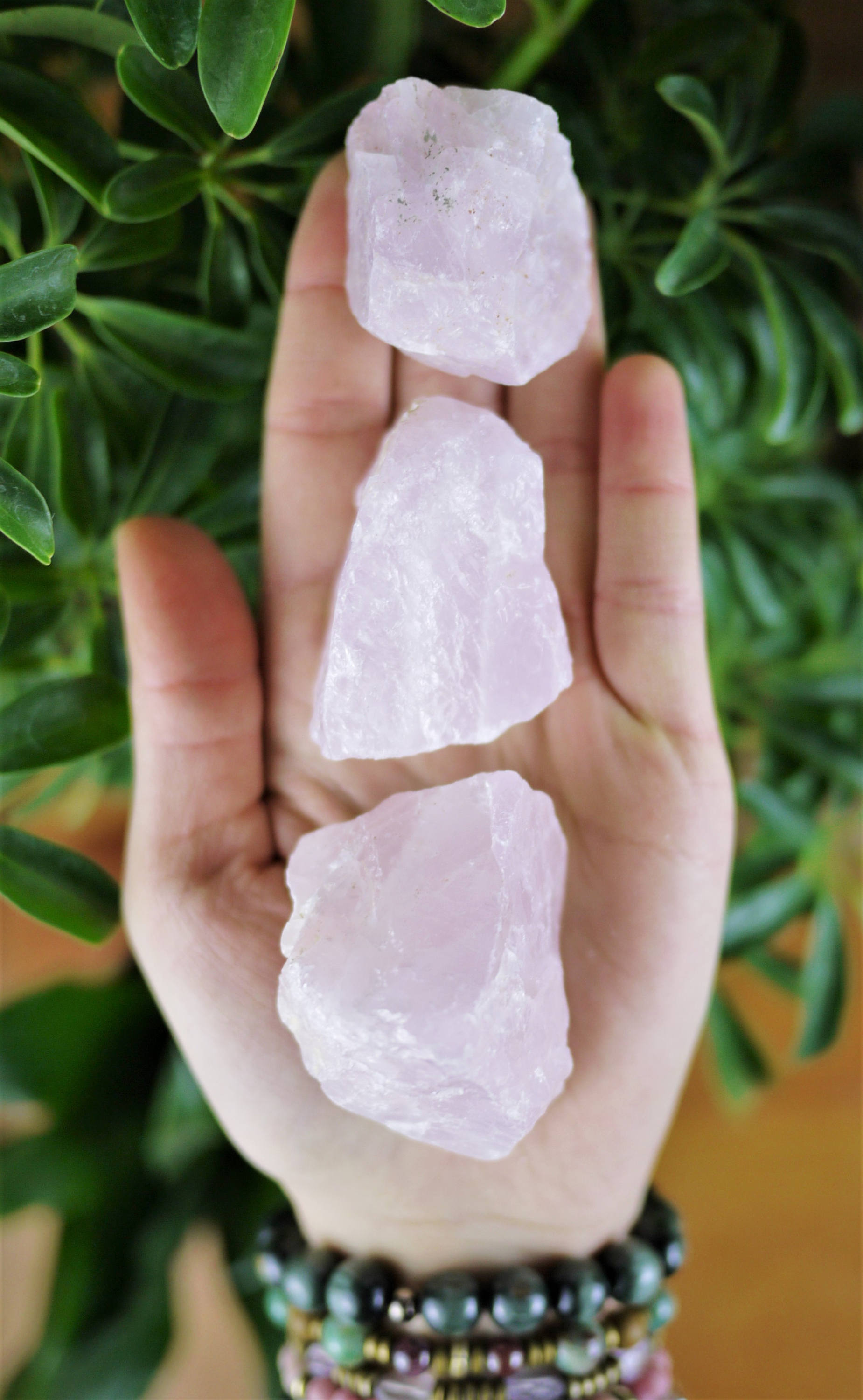 Rose Quartz Rough Chunks - Shakti