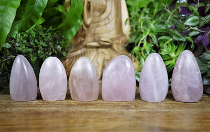 Rose Quartz Free Forms - Shakti