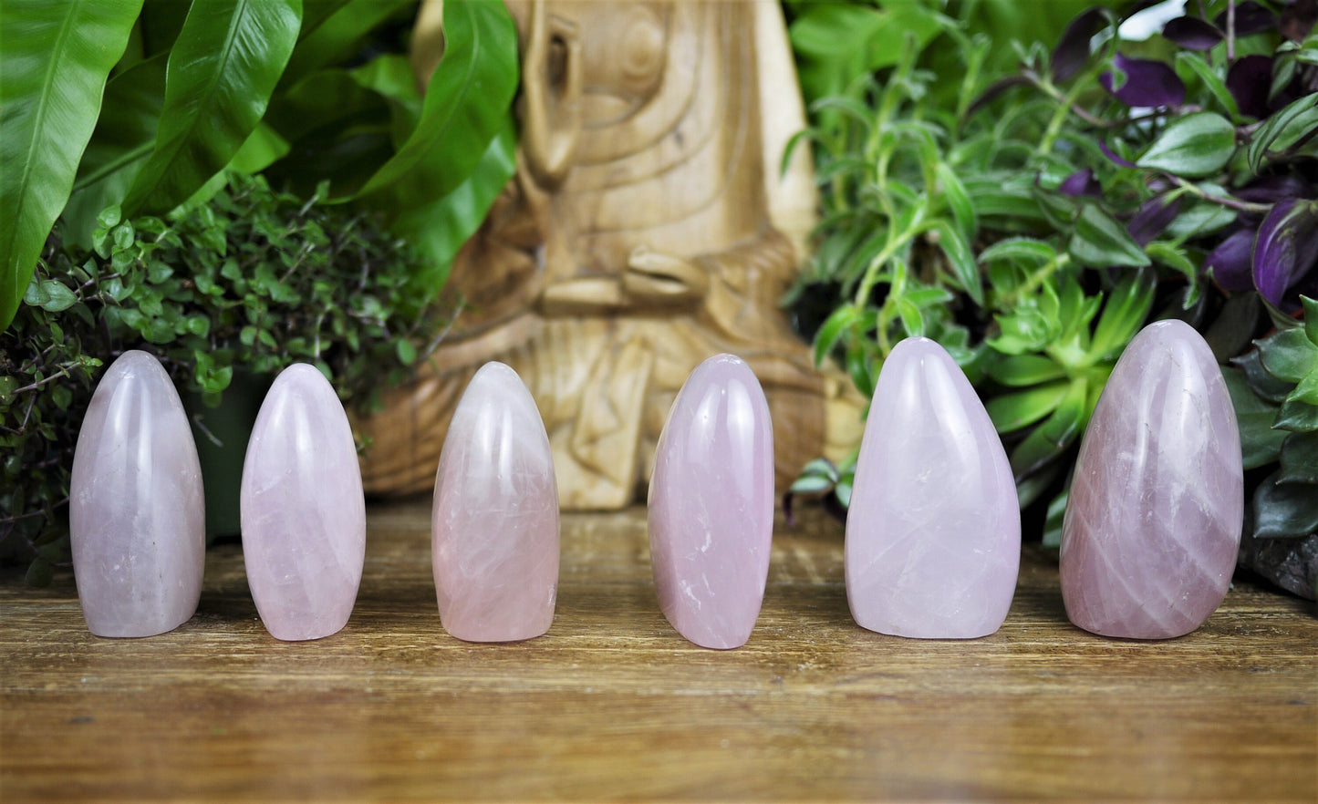 Rose Quartz Free Forms - Shakti