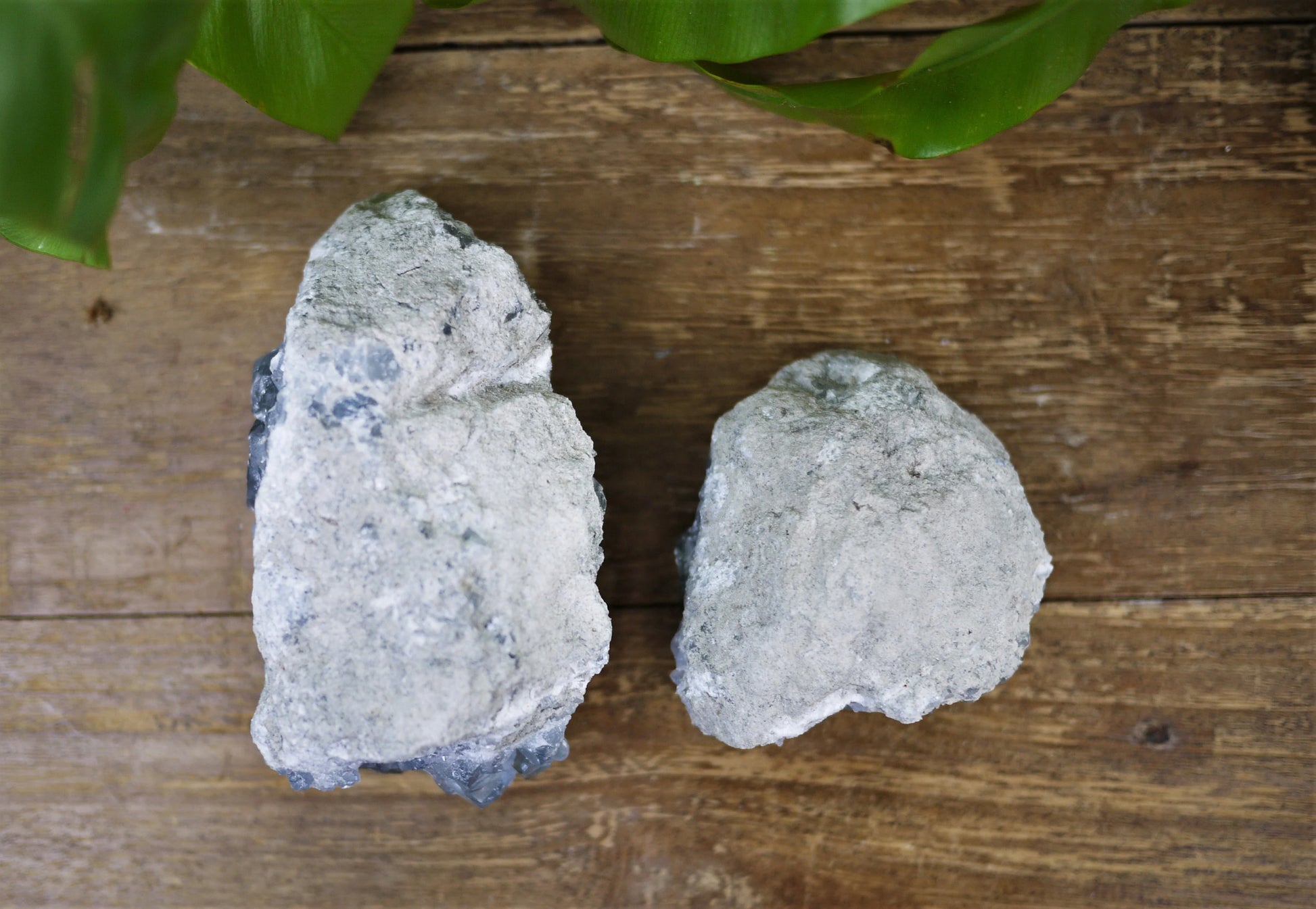 Celestite Rough Chunks - Shakti