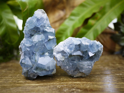 Celestite Rough Chunks - Shakti