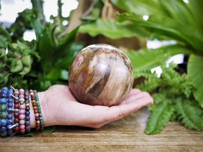 Petrified Wood Spheres - Shakti