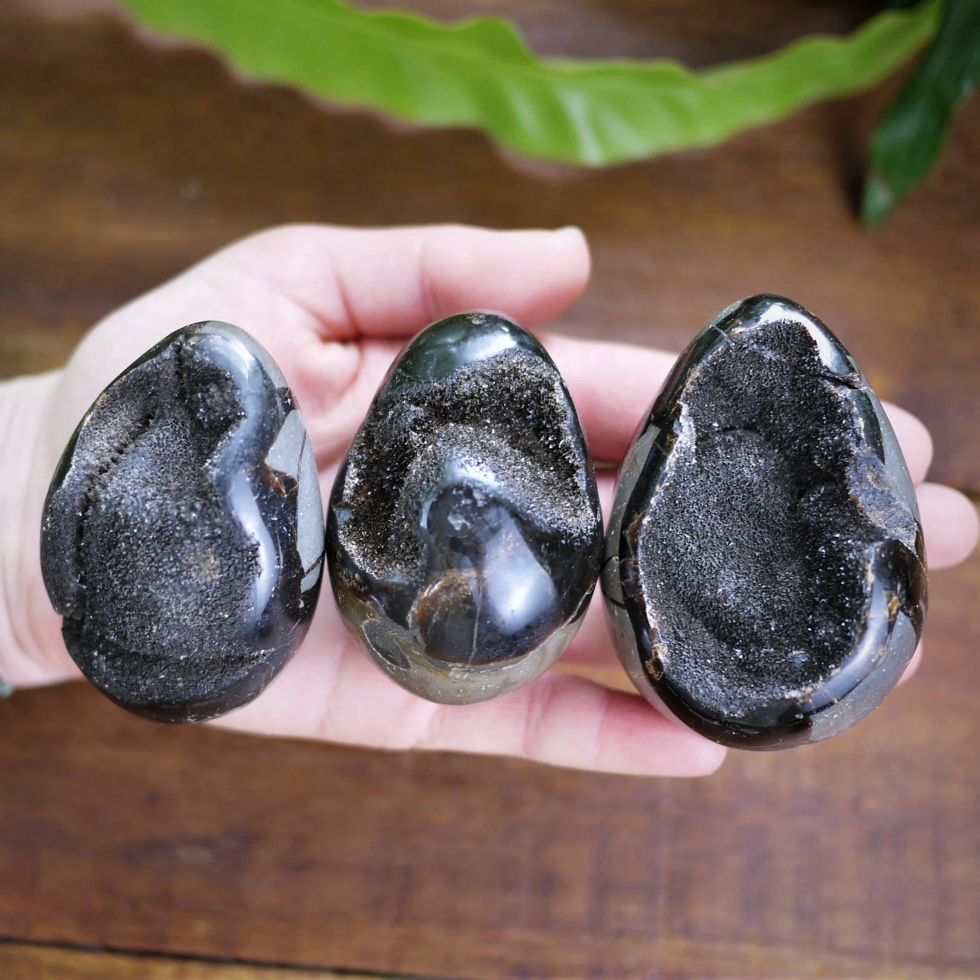 Septarian Druzy Eggs - Shakti