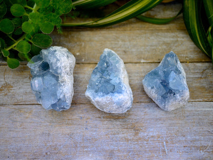 Celestite Rough Chunks - Shakti