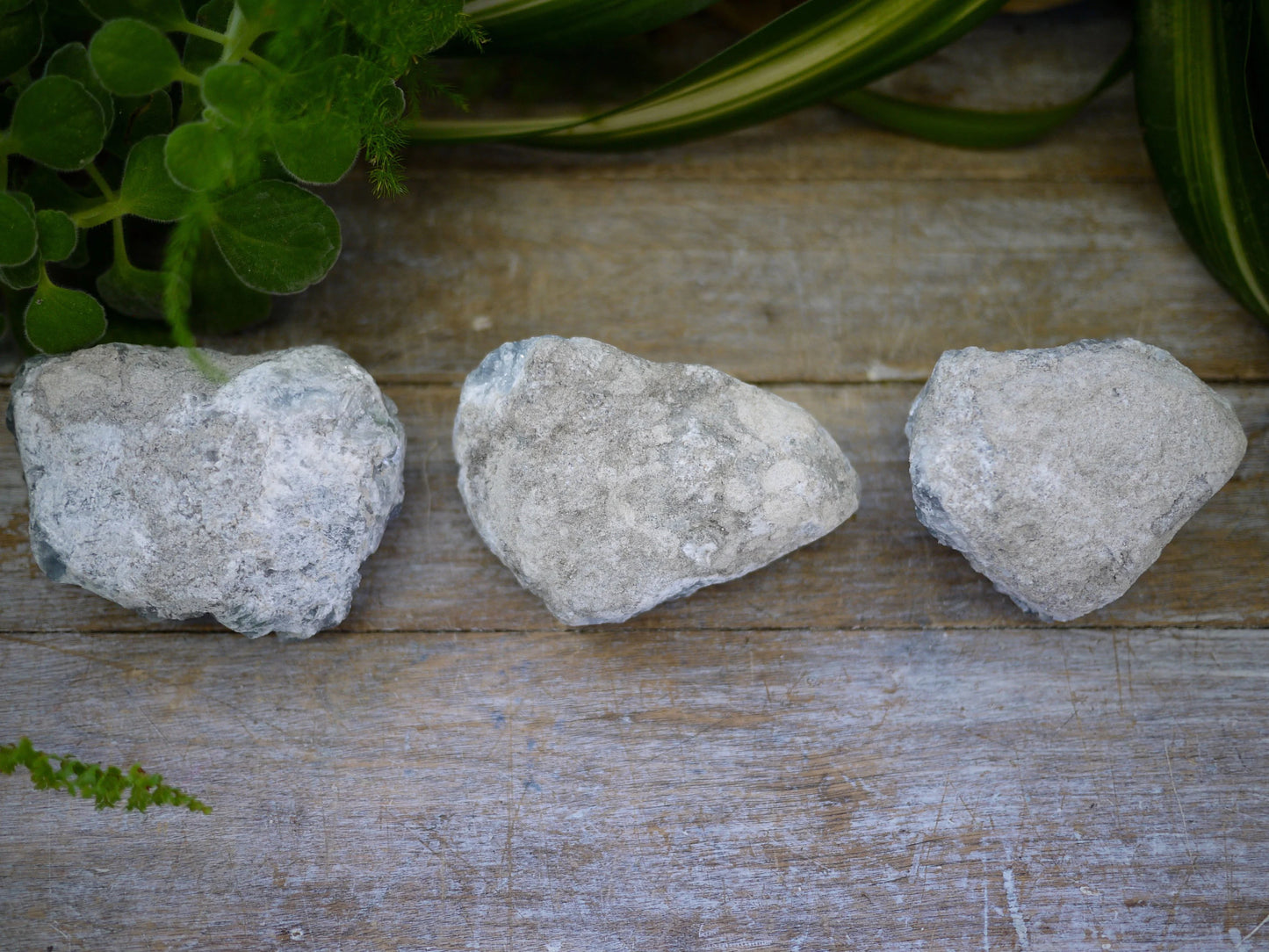 Celestite Rough Chunks - Shakti