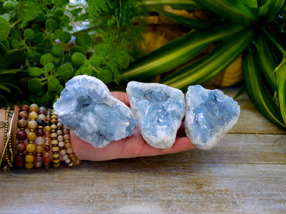 Celestite Rough Chunks - Shakti