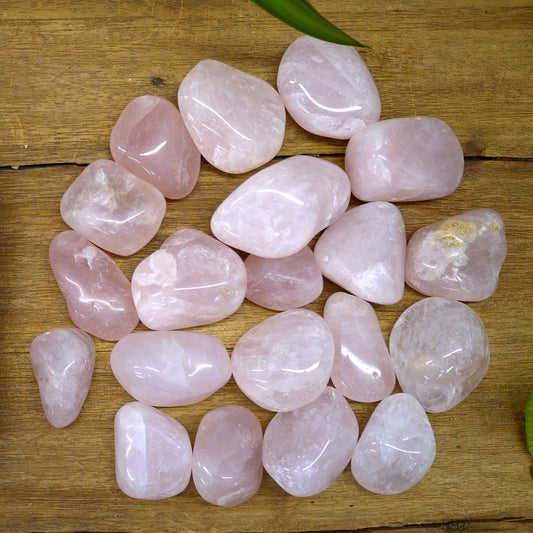 Rose Quartz Tumble Stones - Shakti