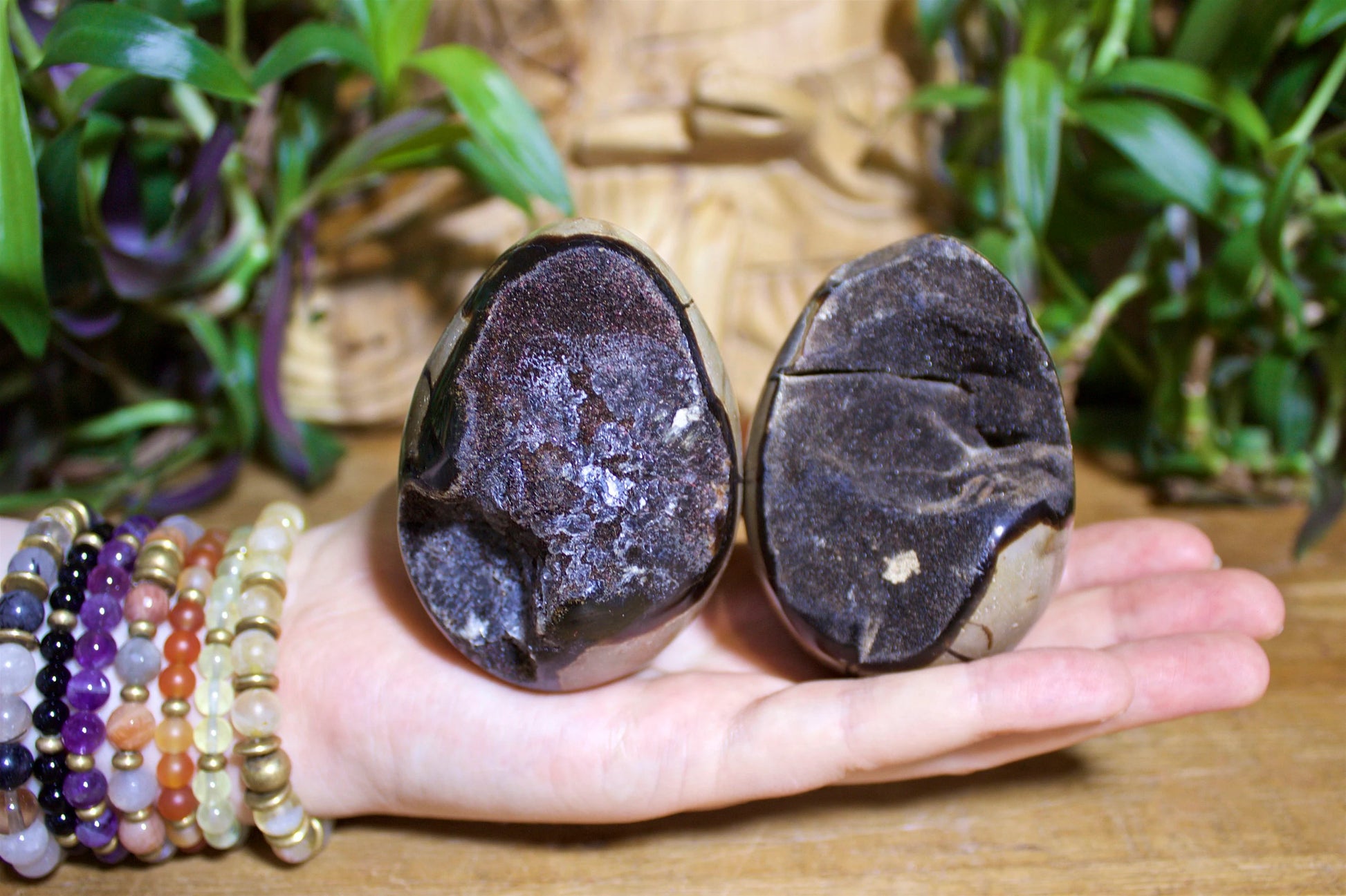 Septarian Druzy Eggs - Shakti