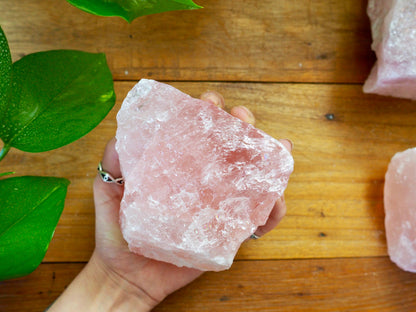 Rose Quartz Rough Chunks - Shakti