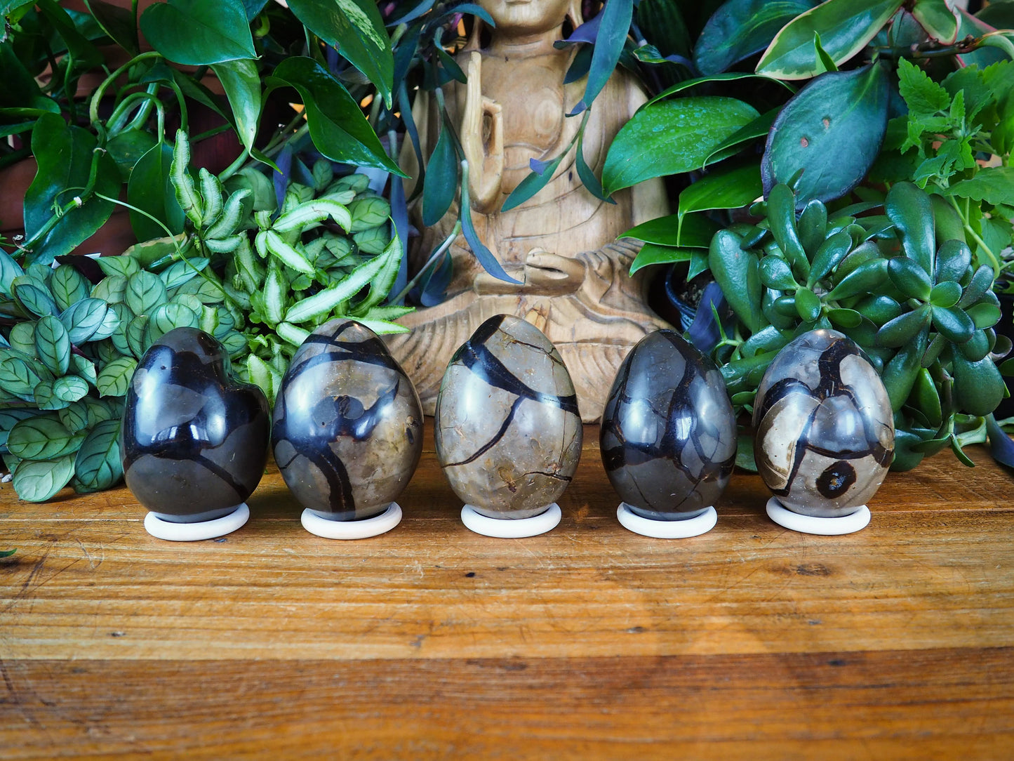 Septarian Druzy Eggs - Shakti