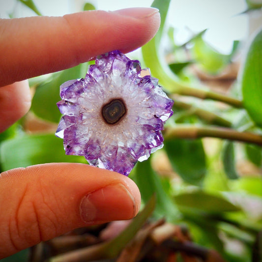Amethyst/Stalactite Slices - Shakti