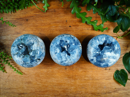 Celestite Spheres - Shakti