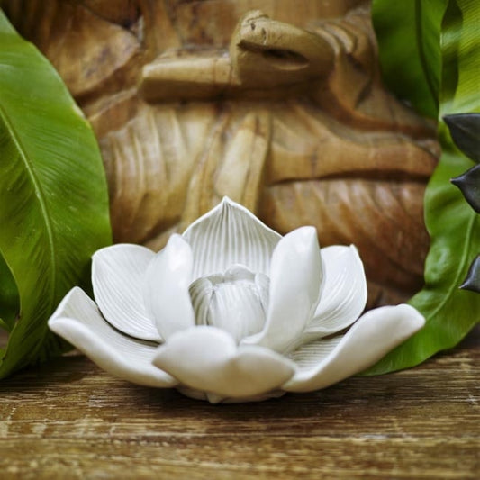 Incense Holder - Blooming Lotus Flower (M / Off-white) - Shakti