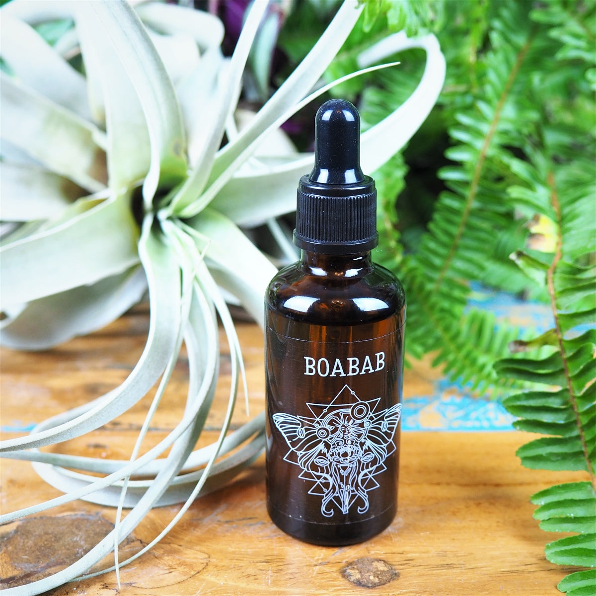 Baobab Oil, Organic - Shakti