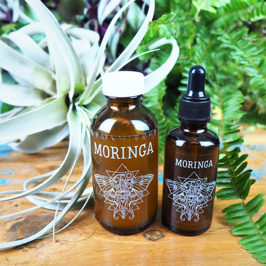 Moringa Oil - Shakti