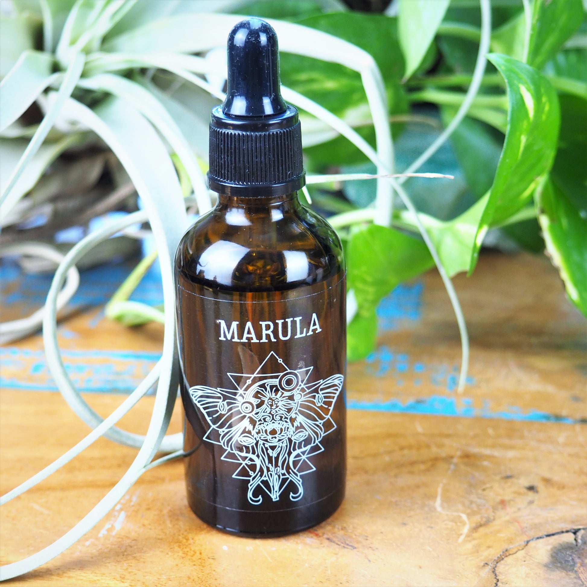 Marula Oil - Shakti