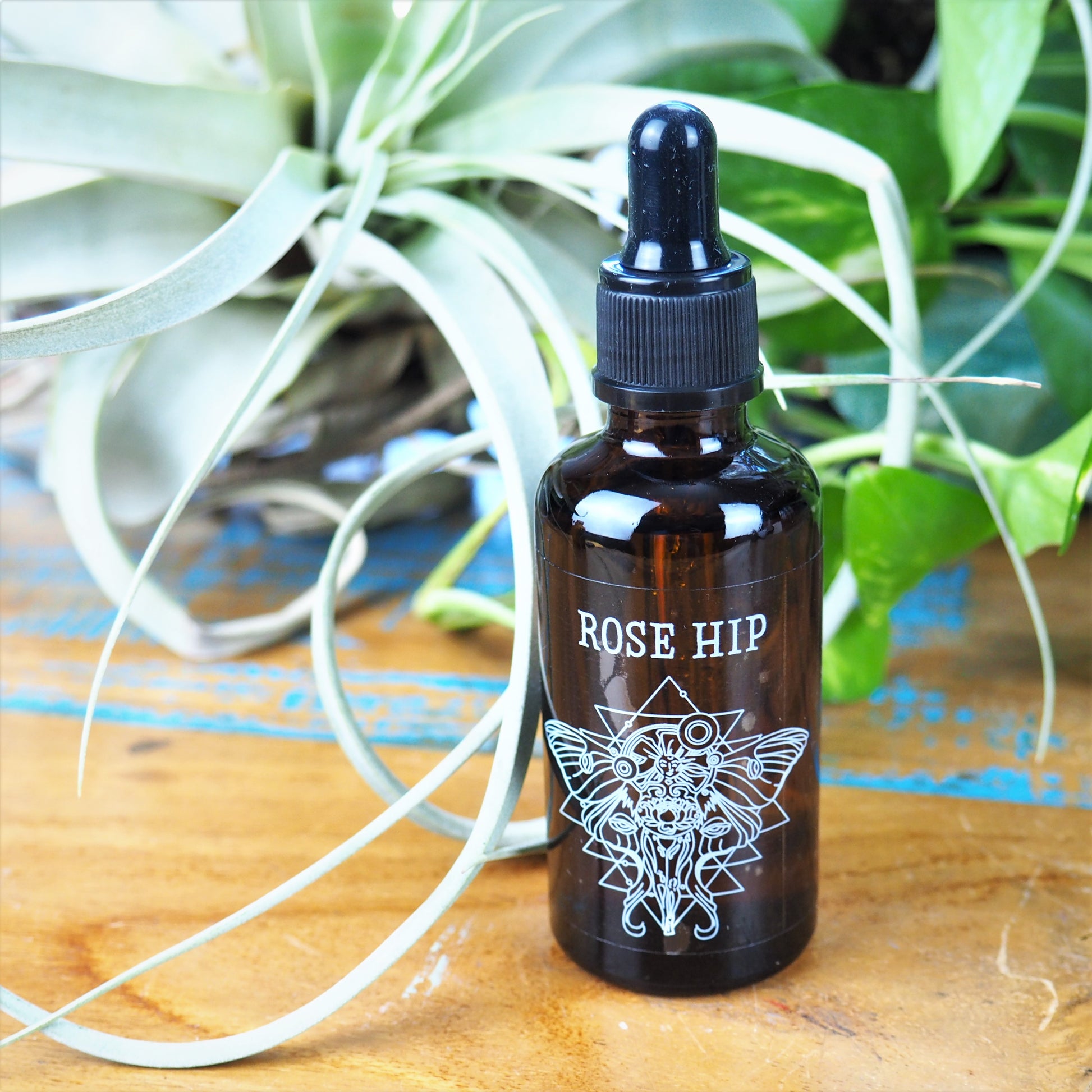 Rose Hip Oil - Shakti