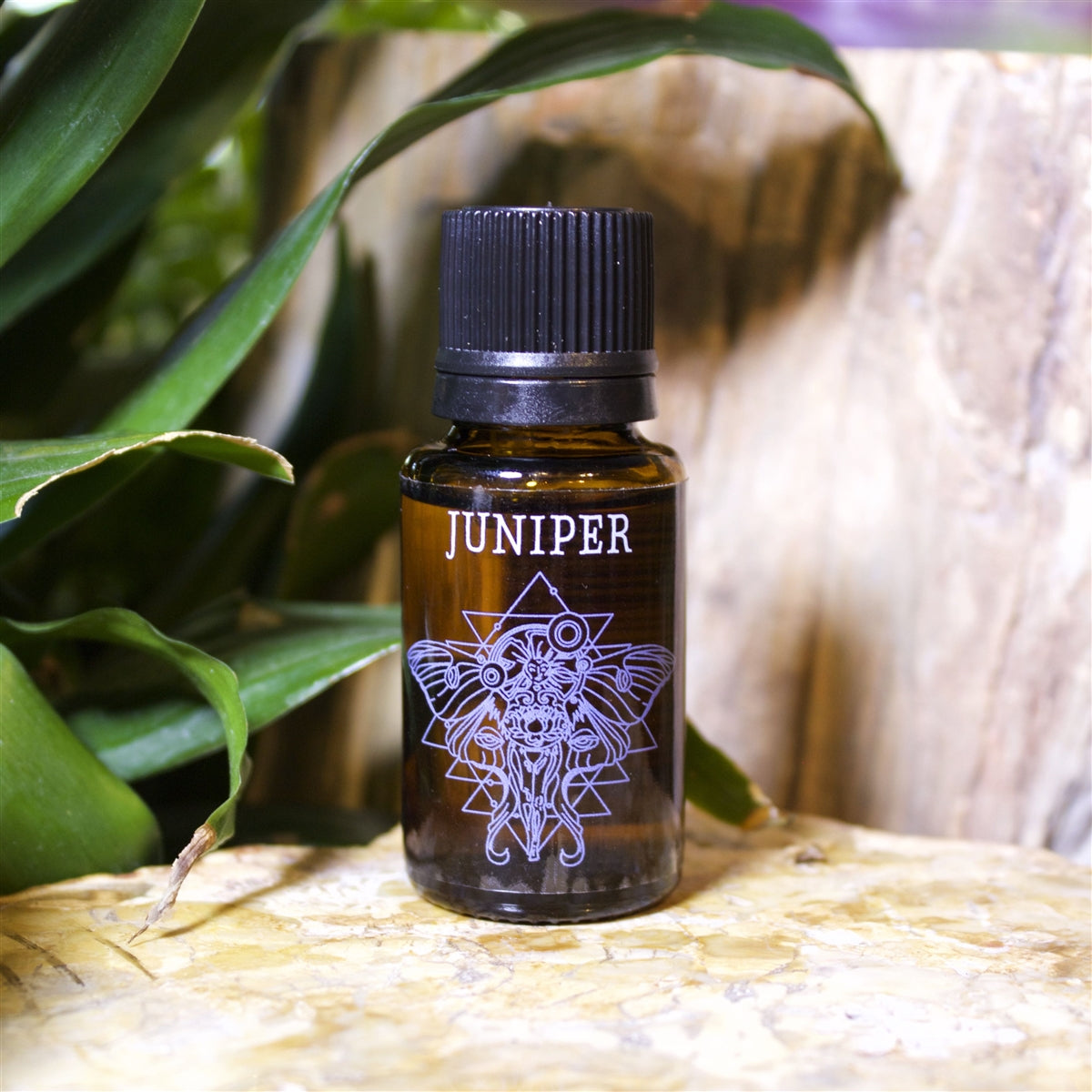 Juniper Essential Oil - Shakti