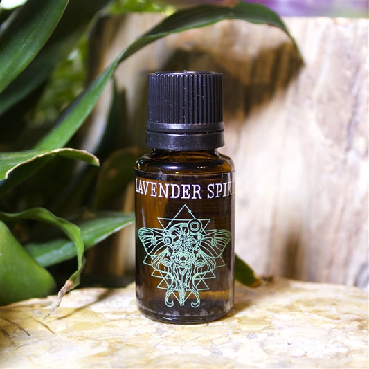 Lavender Spike Essential Oil - Shakti