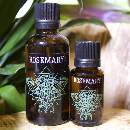 Rosemary Essential Oil - Shakti