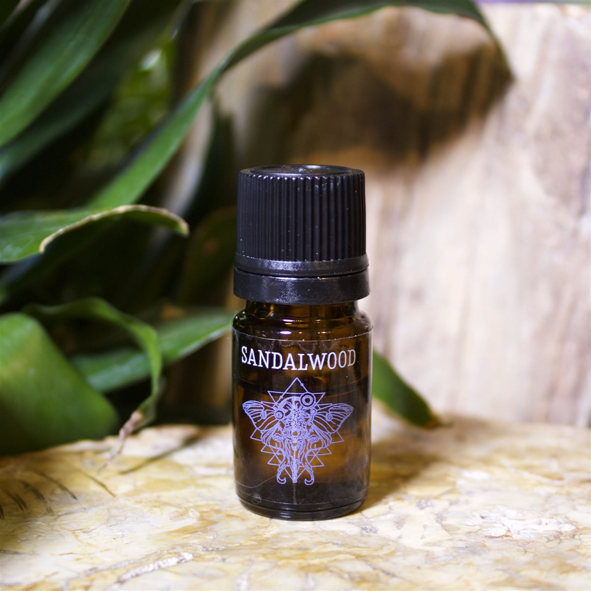 Sandalwood Essential Oil - Shakti