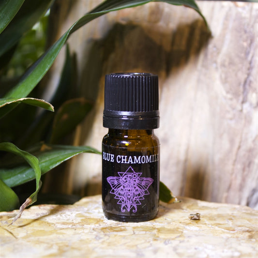 Blue Chamomile Essential Oil - Shakti