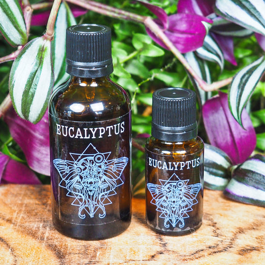 Eucalyptus Essential Oil - Shakti