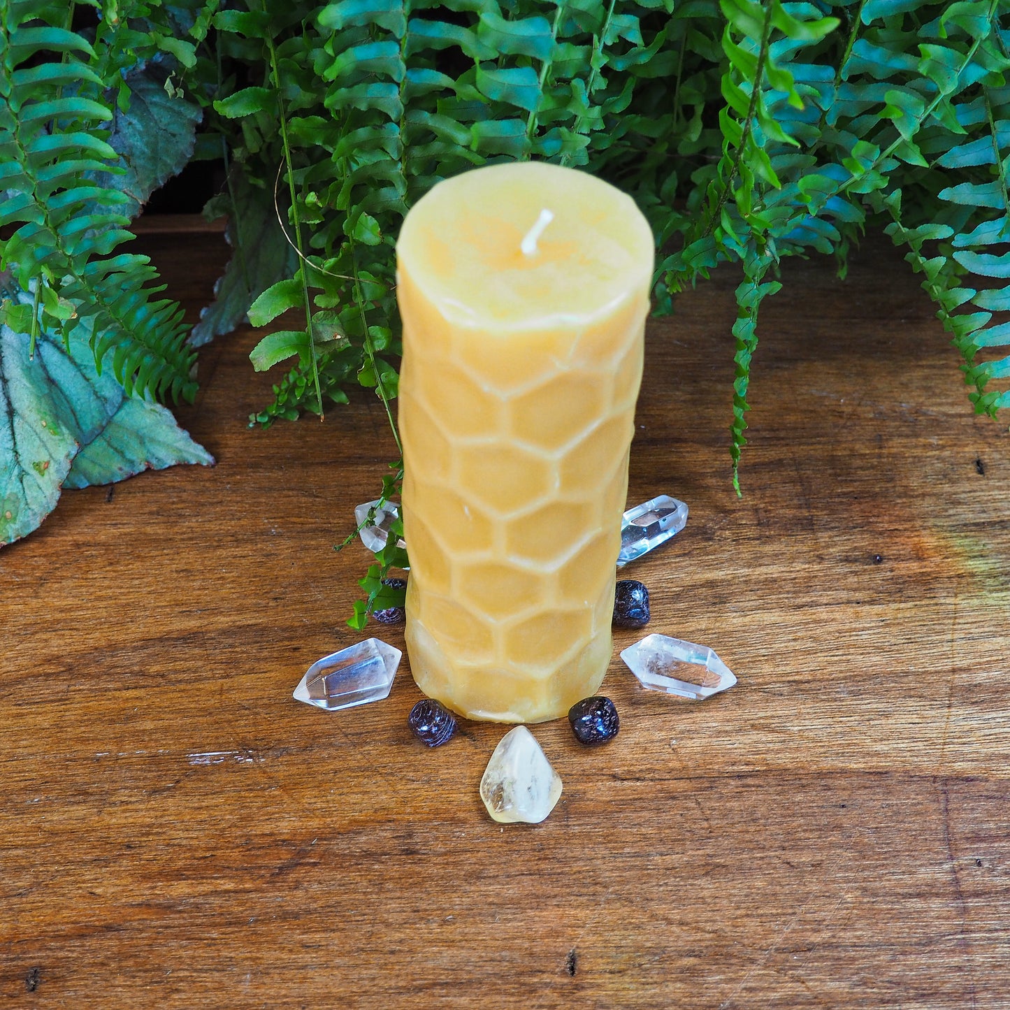 Barletta Beeswax Candle - Hex - Shakti