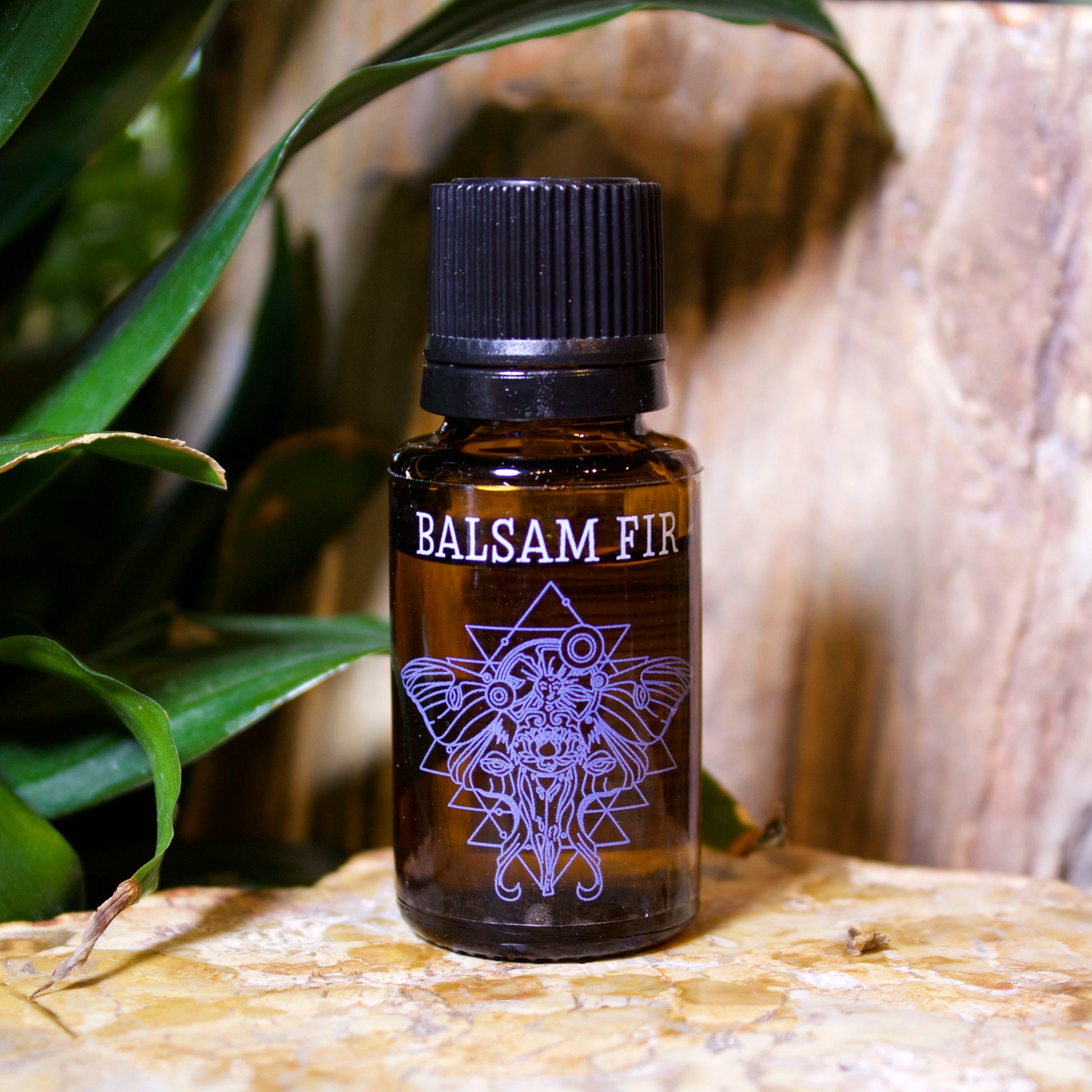 Balsam Fir Essential Oil - Shakti