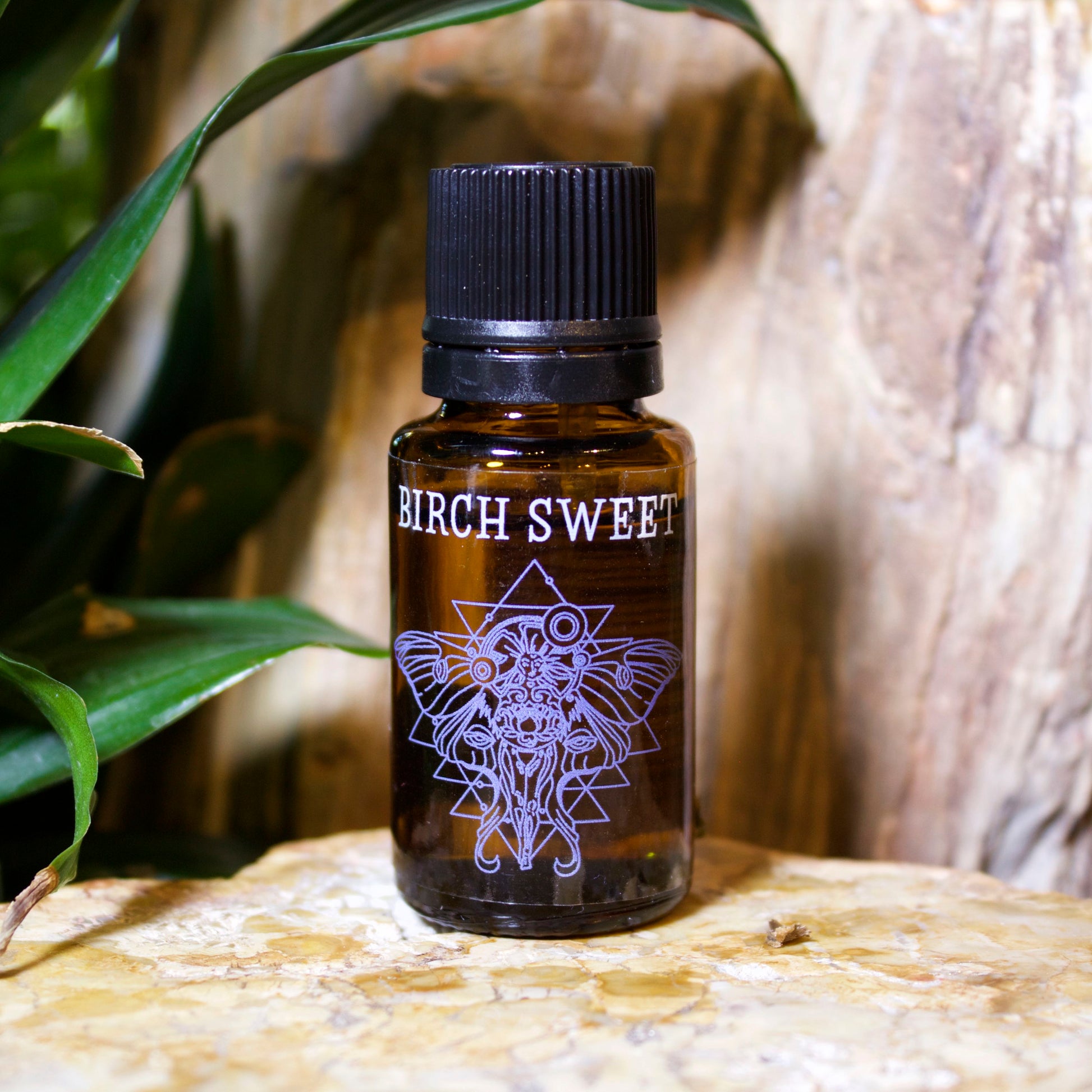 Sweet Birch Essential Oil - Shakti