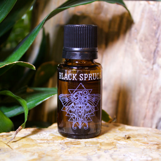 Black Spruce Essential Oil - Shakti