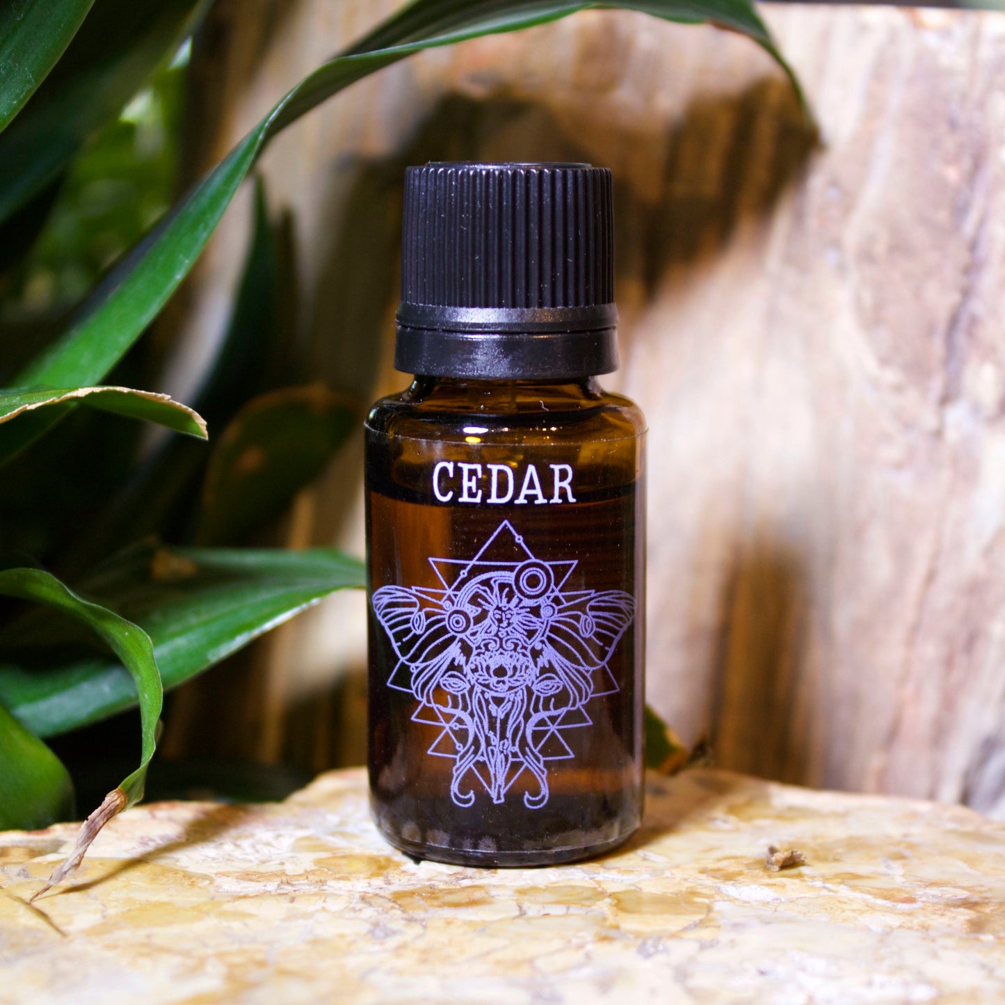 Cedar Essential Oil - Shakti