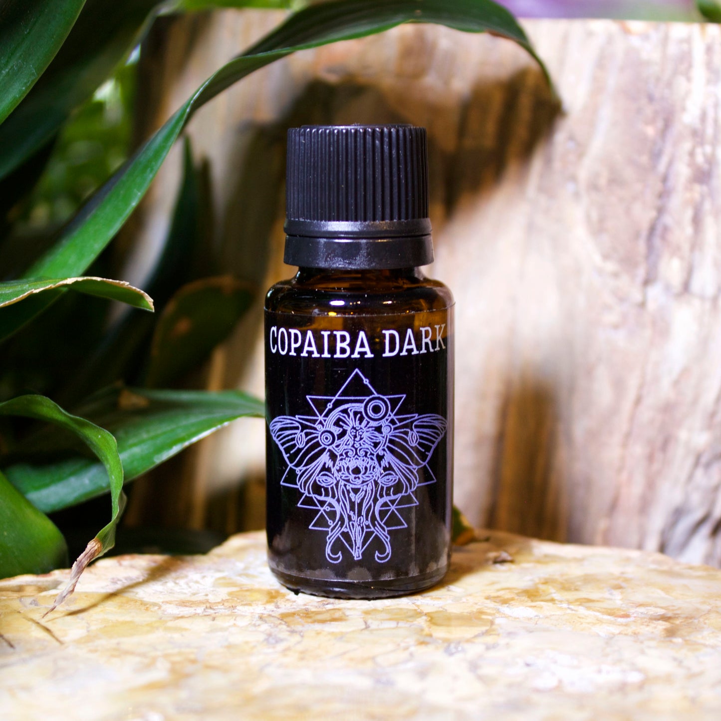 Copaiba Dark Essential Oil - Shakti