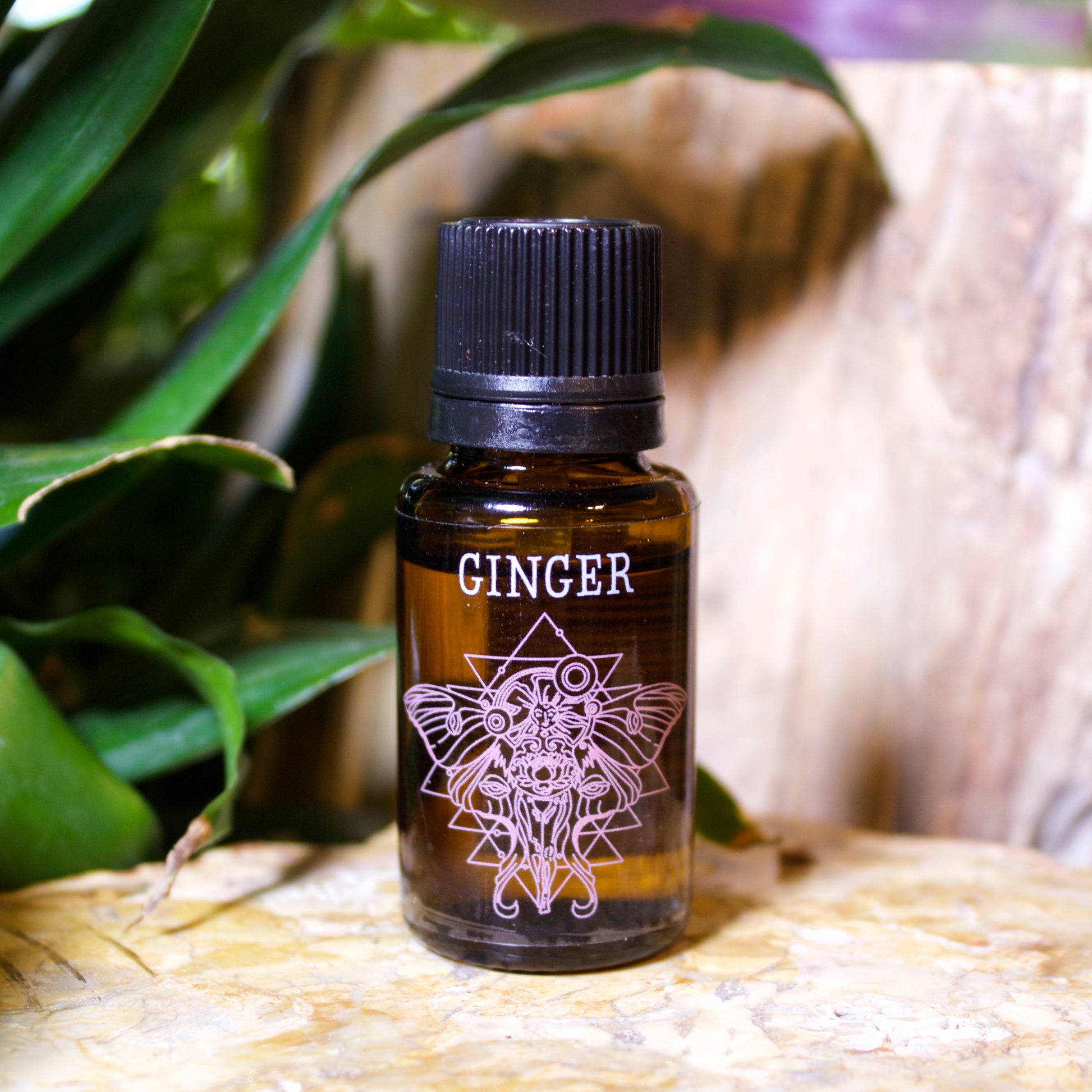 Ginger Essential Oil - Shakti