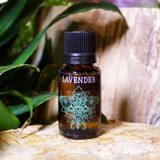 Lavender Essential Oil - Shakti