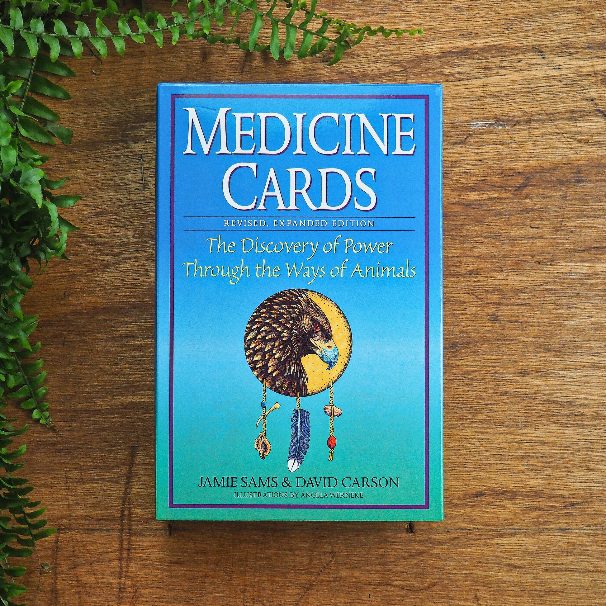 Medicine Cards By Jamie Sams & David Carson - Shakti