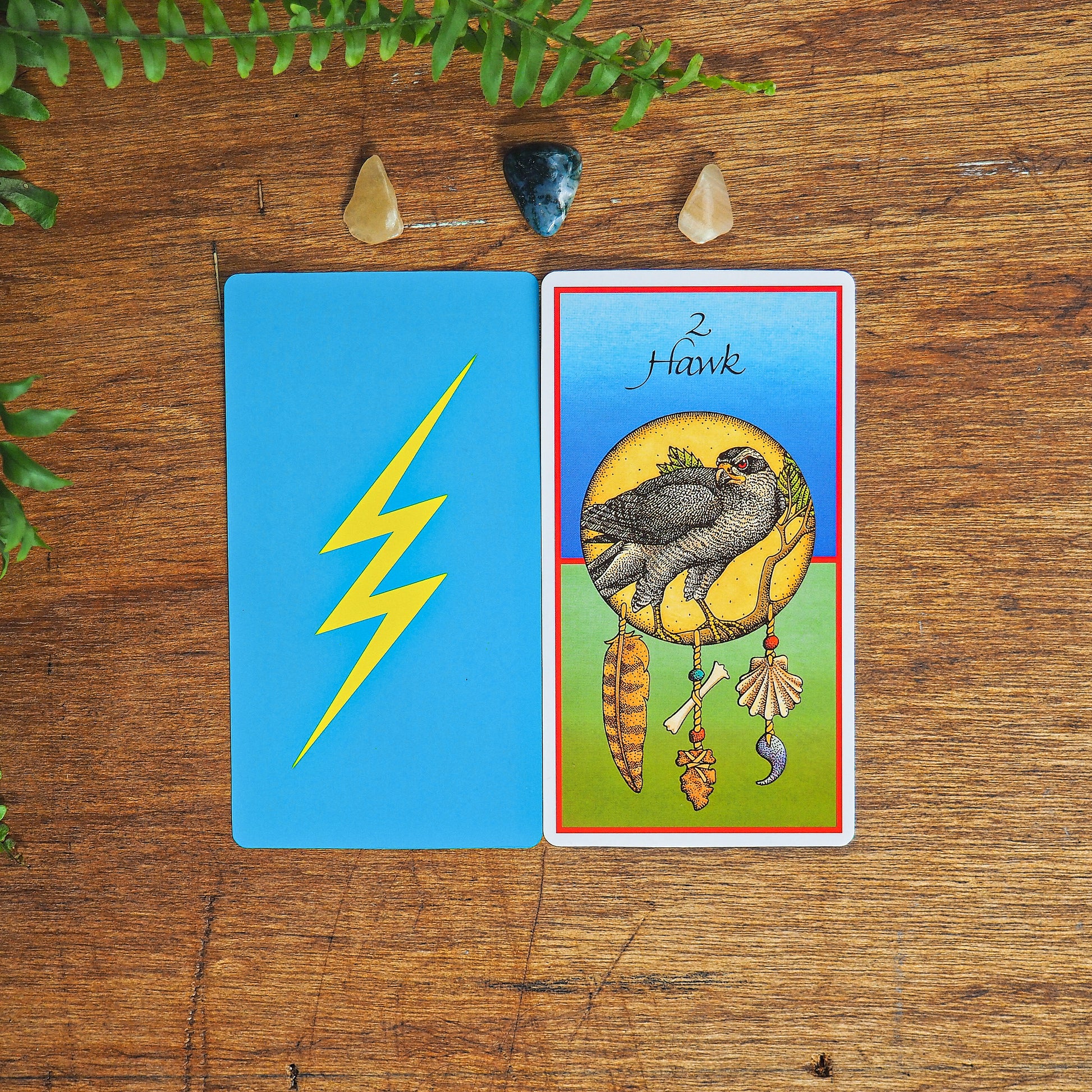 Medicine Cards By Jamie Sams & David Carson - Shakti