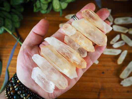 Lemurian Seed Quartz Points - Shakti