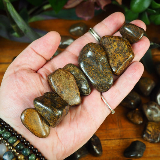 Bronzite Tumble Stones - Shakti