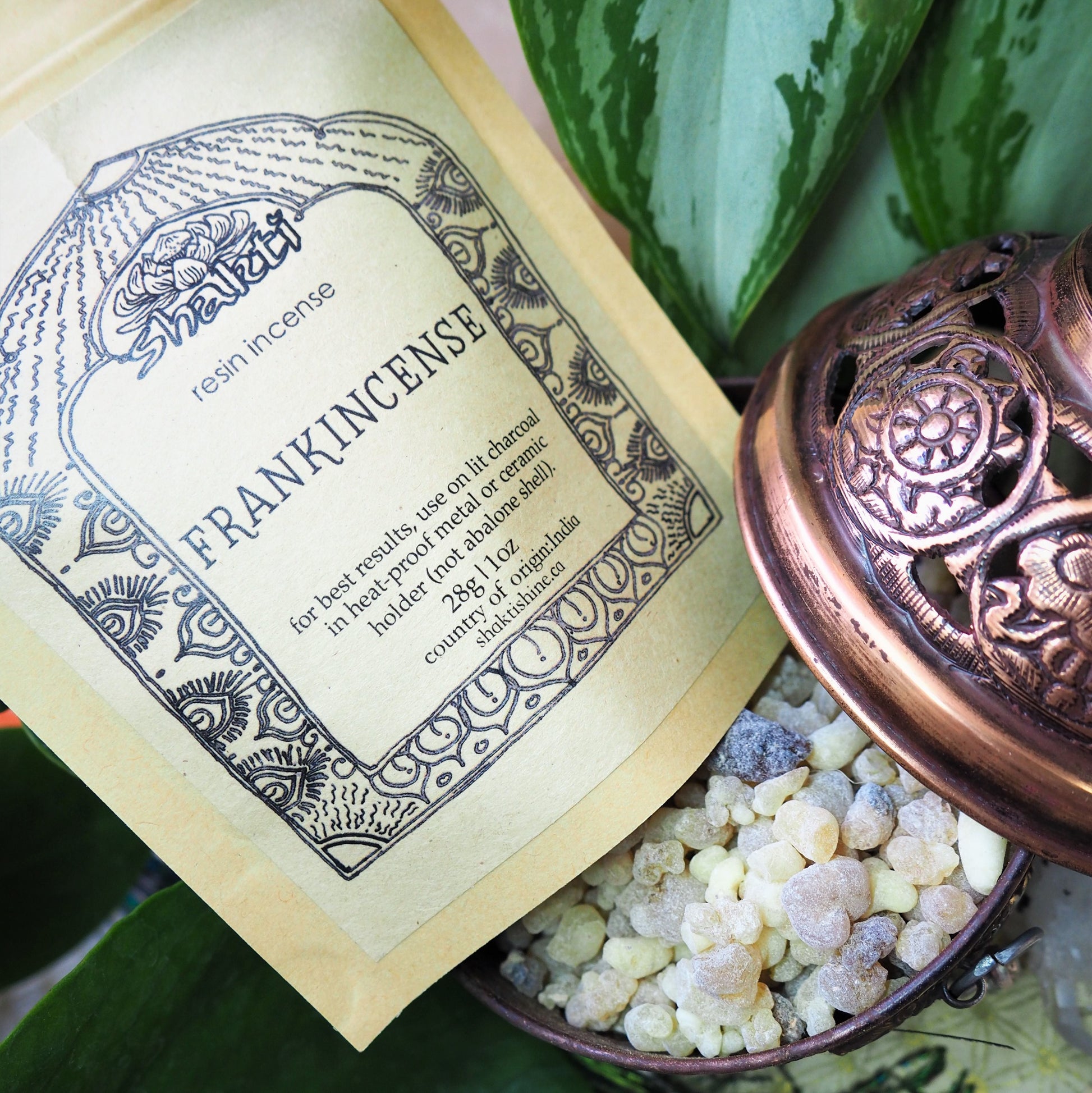 Frankincense - Shakti