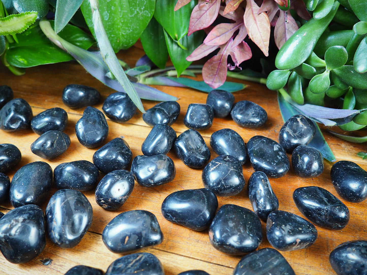 Black Onyx Tumble Stones - Shakti
