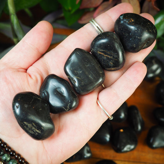 Black Onyx Tumble Stones - Shakti