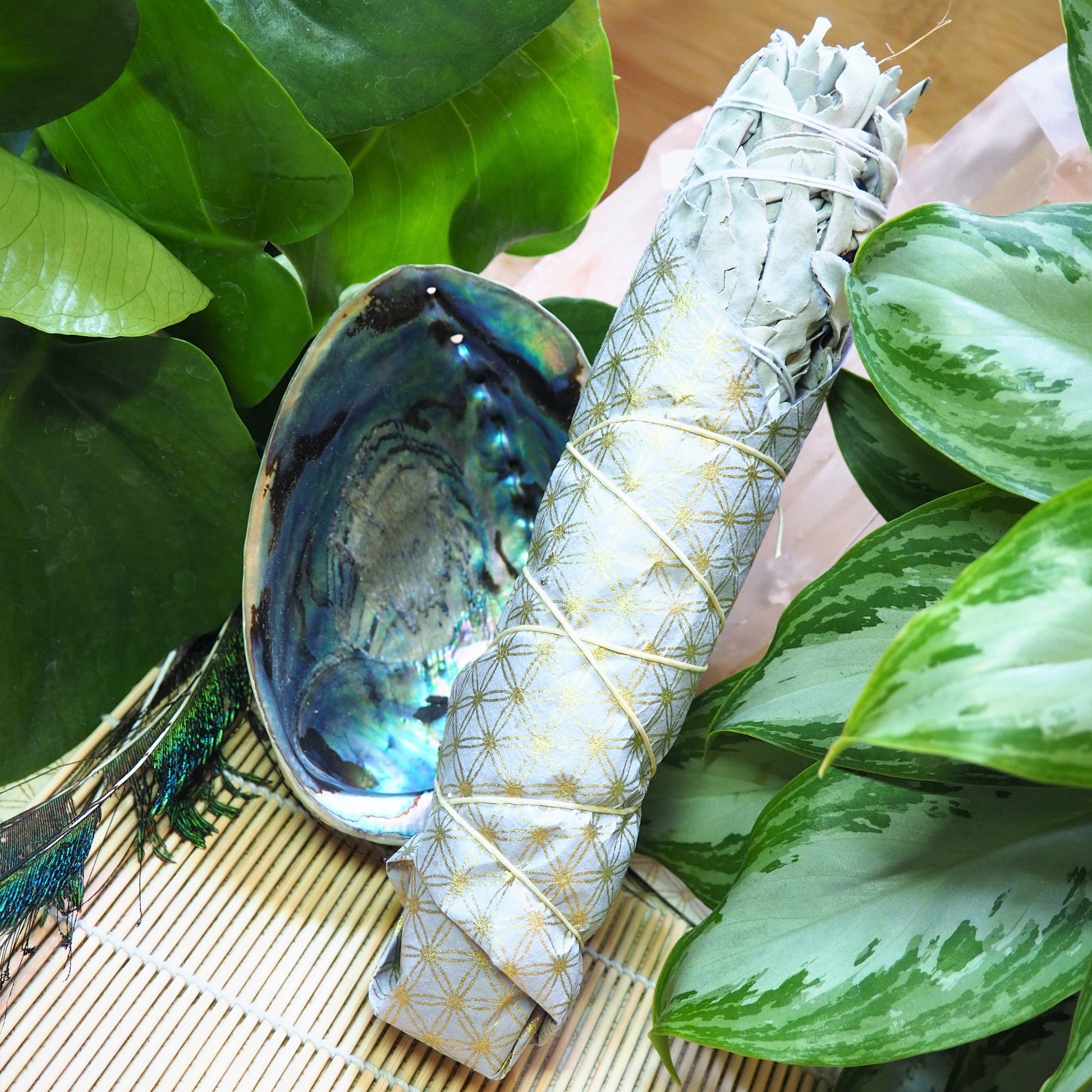 White Sage Smudging Wand (L) - Shakti